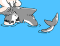Shark Transfur (Post Squid Dog Boss Battle)