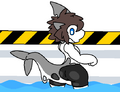 Shark Transfur (Electrical Unit)