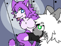 Kat Volts/Purple Cat Transfur (Non-Dev Oc)